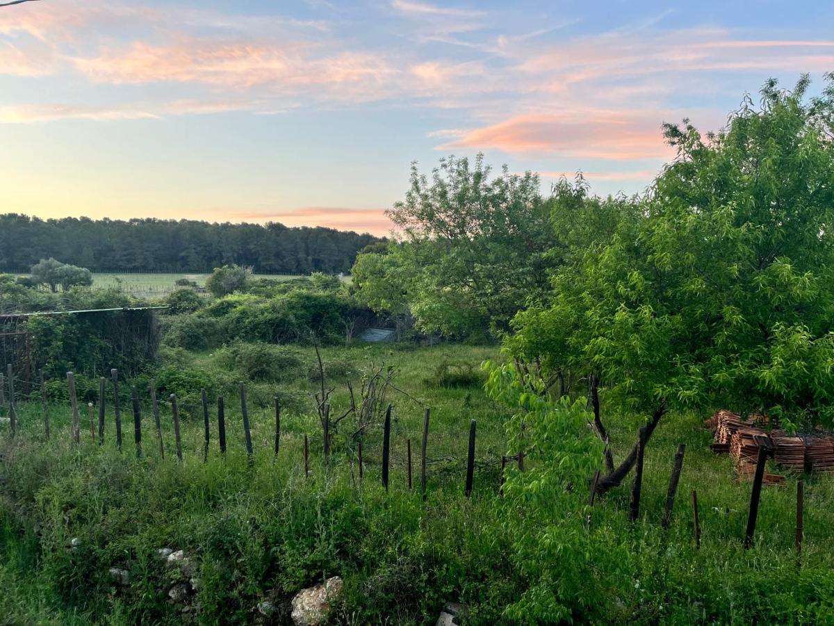 Oasis Fontmarie - Appartement En Pleine Nature Castries Εξωτερικό φωτογραφία